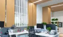 為什麽選擇宅男视频污网站公司進行網絡營銷和形象宣傳？